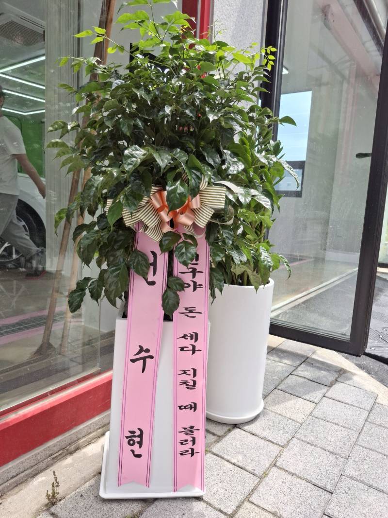 업로드 이미지