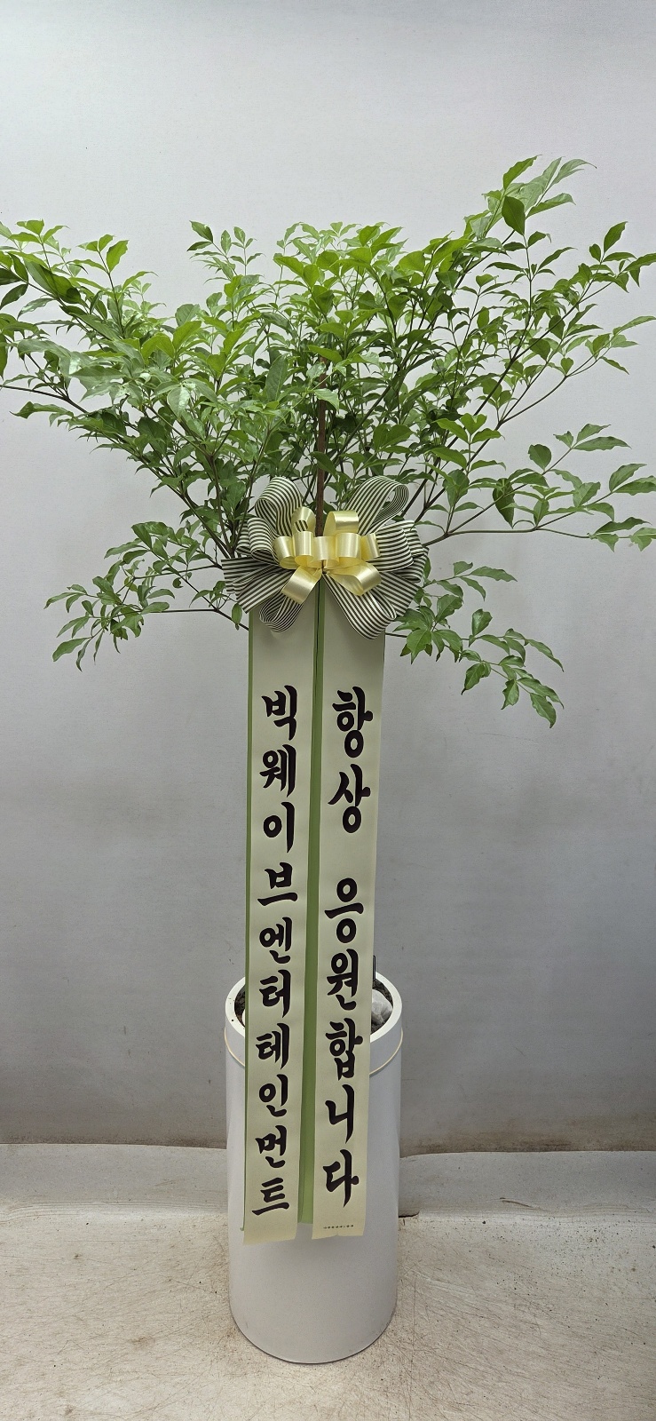 업로드 이미지