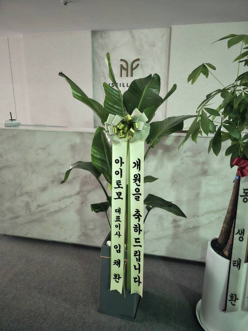 업로드 이미지