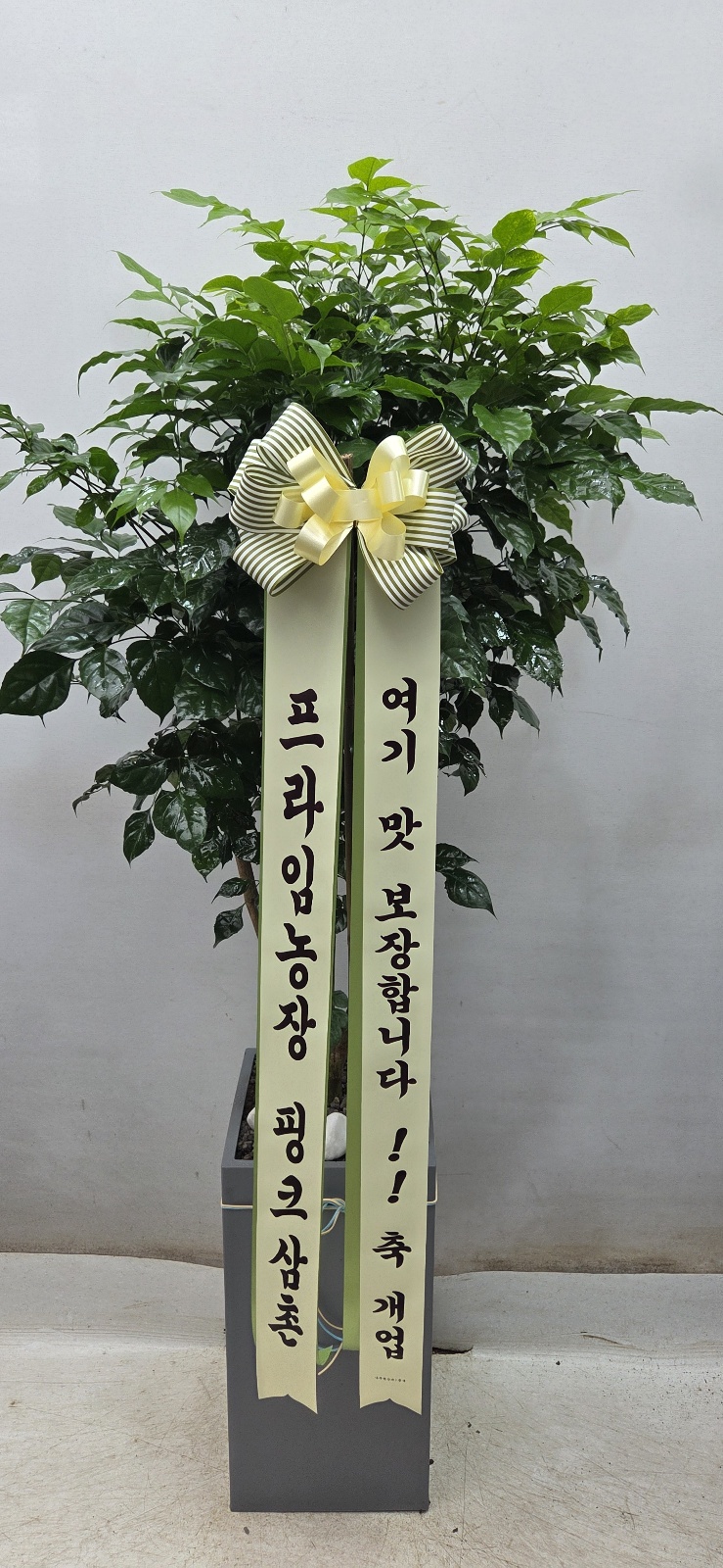 업로드 이미지