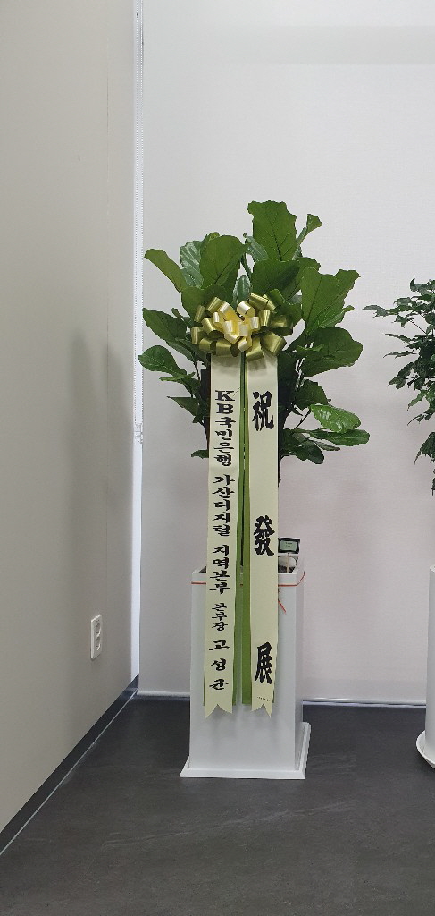 업로드 이미지