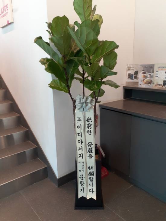 업로드 이미지