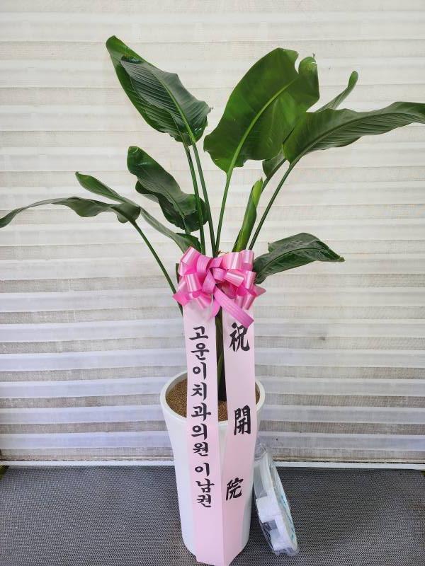 업로드 이미지