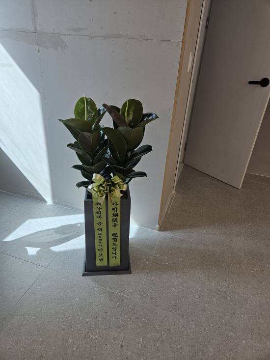 업로드 이미지