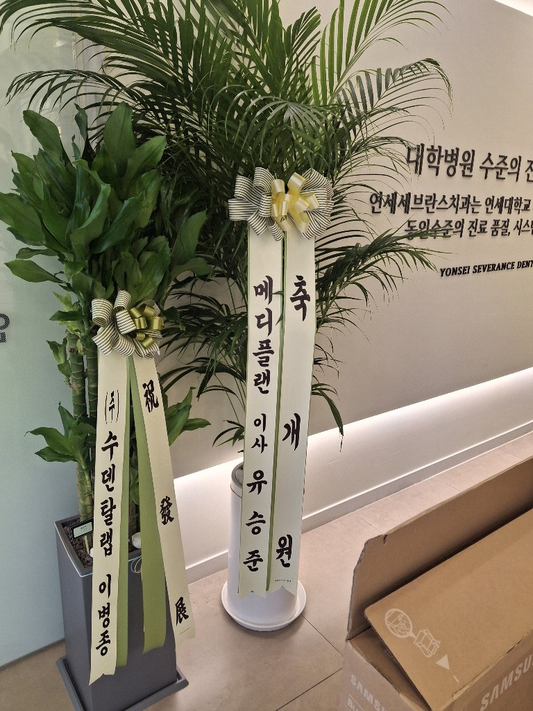 업로드 이미지