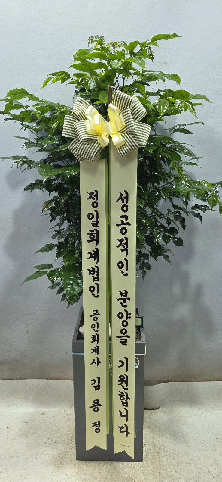 업로드 이미지