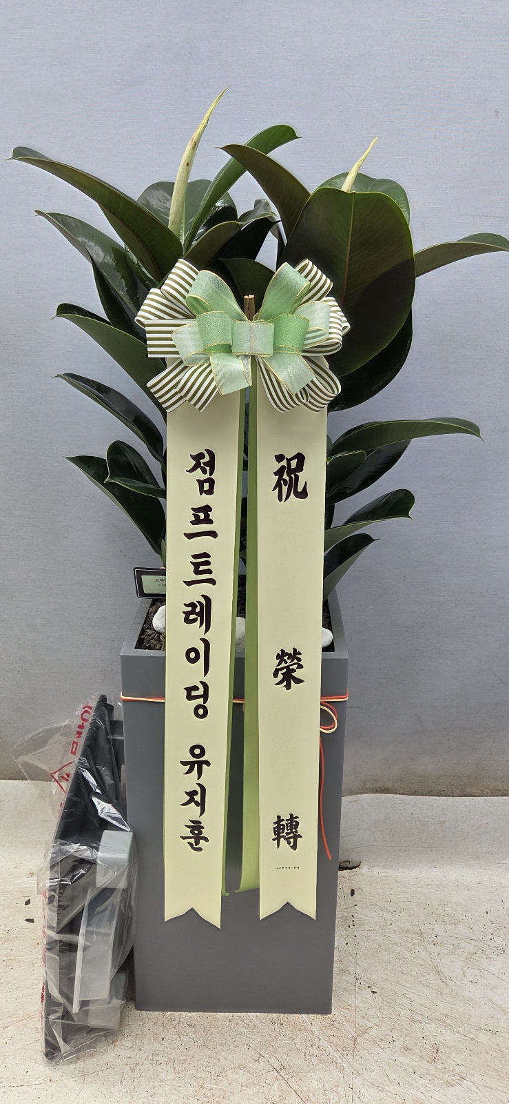 업로드 이미지
