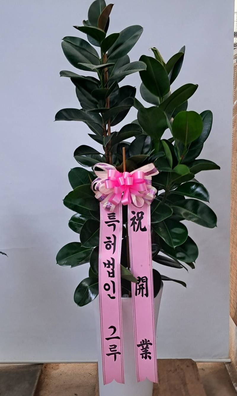 업로드 이미지