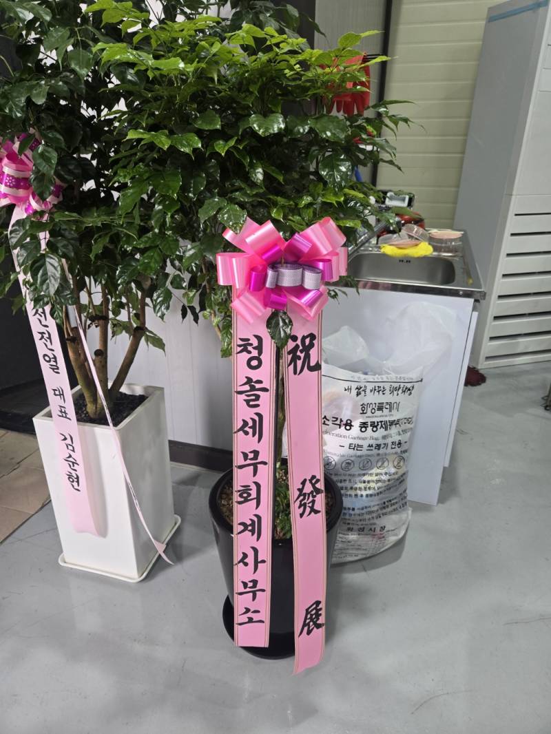 업로드 이미지