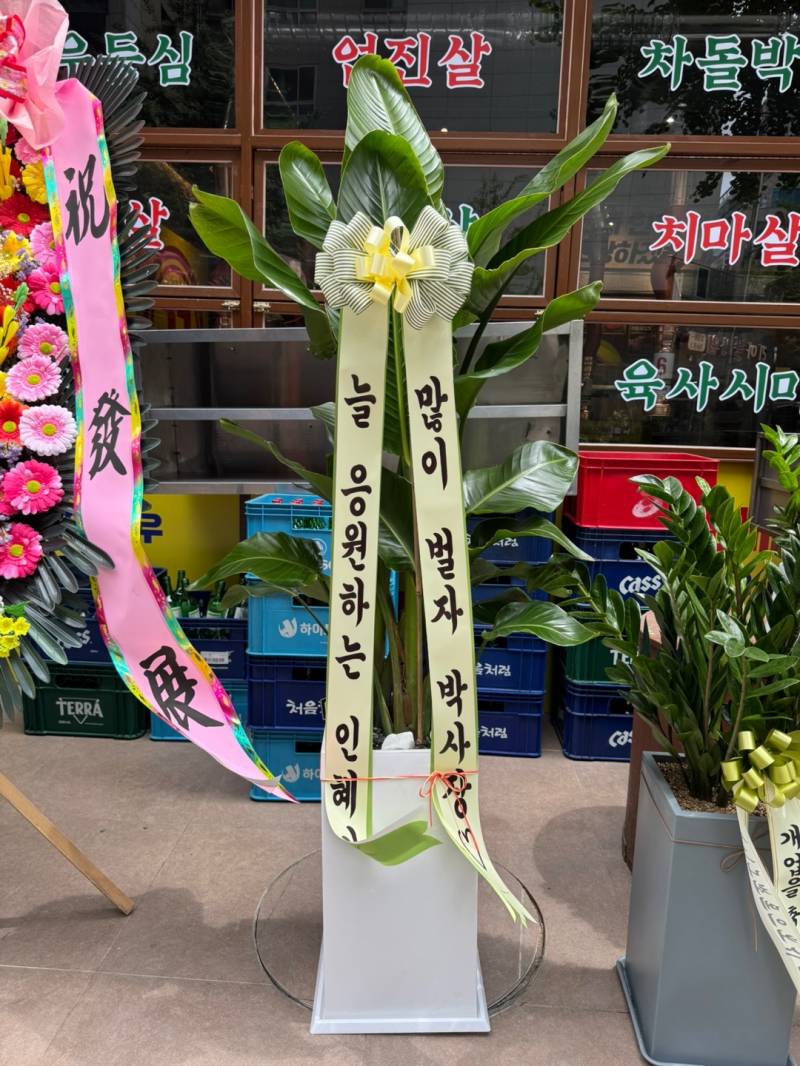 업로드 이미지