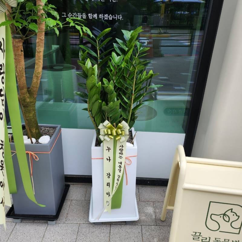 업로드 이미지