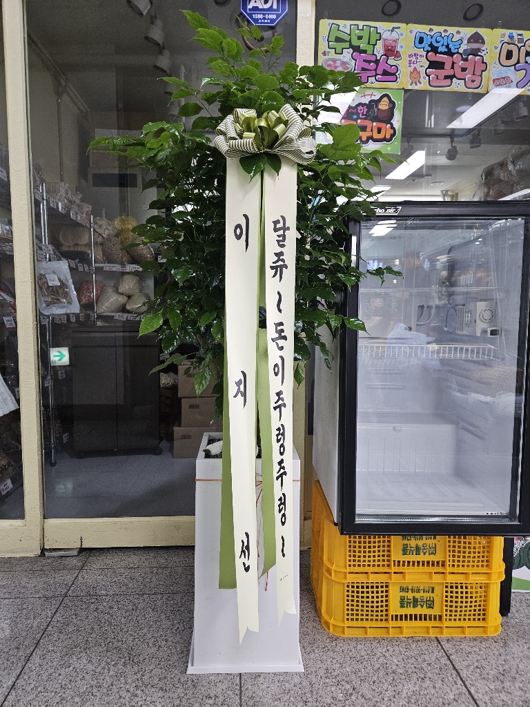 업로드 이미지