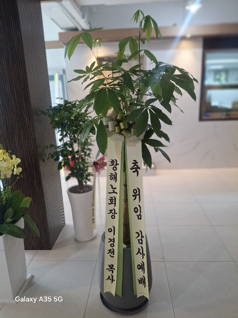 업로드 이미지