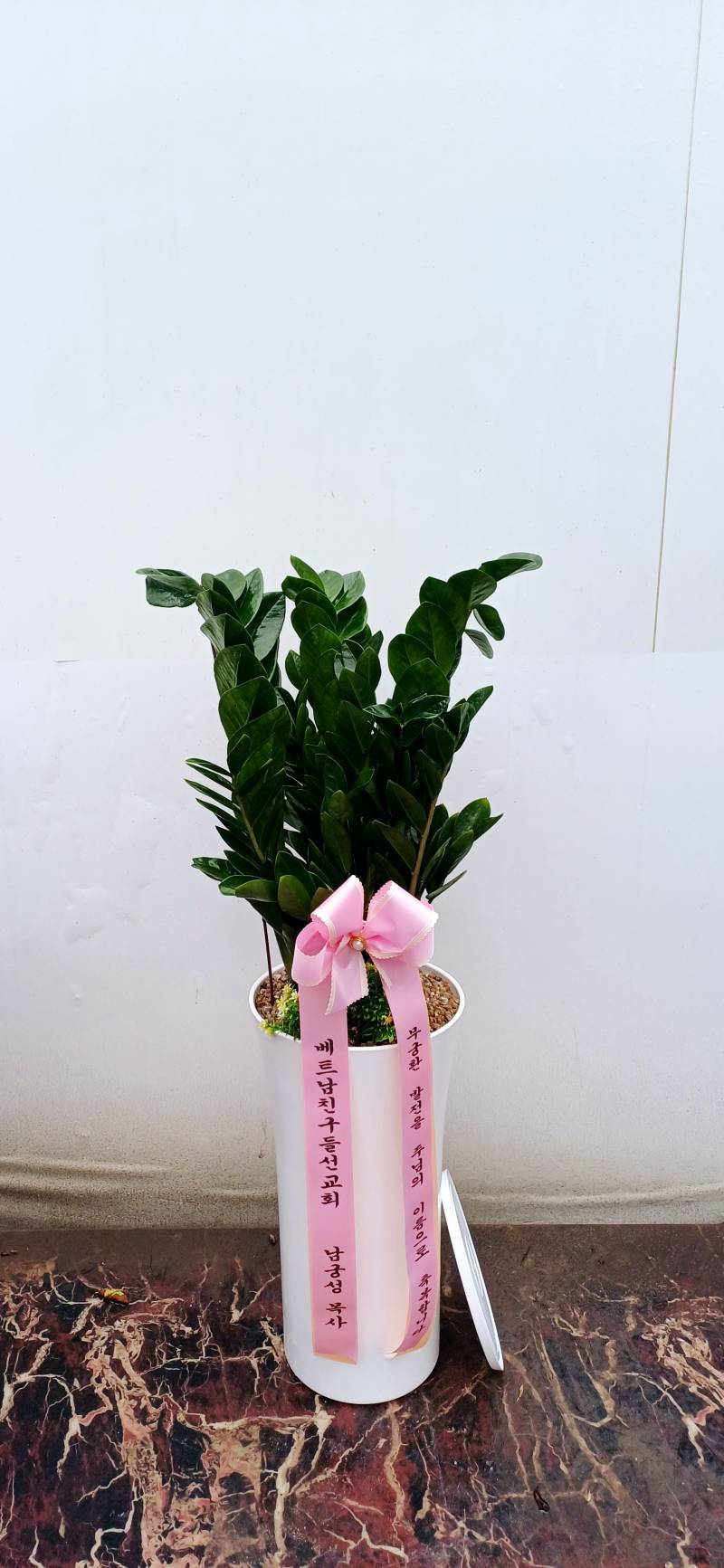 업로드 이미지