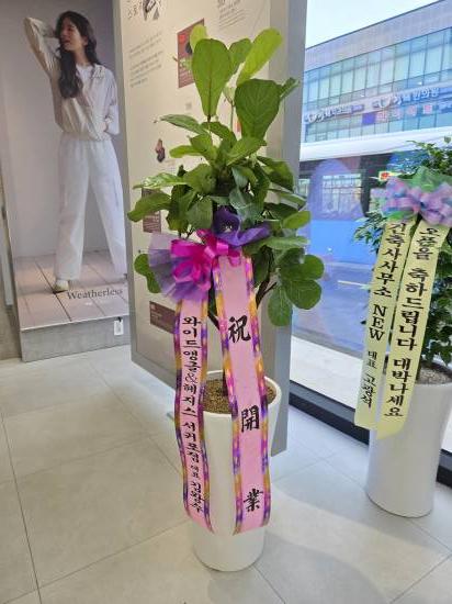 업로드 이미지
