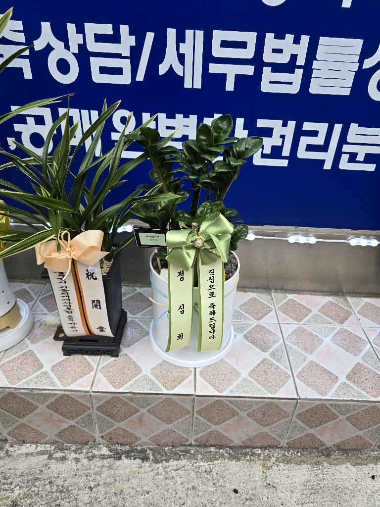 업로드 이미지