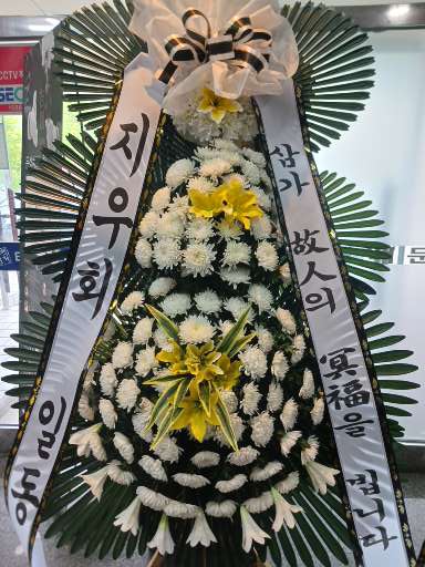 업로드 이미지
