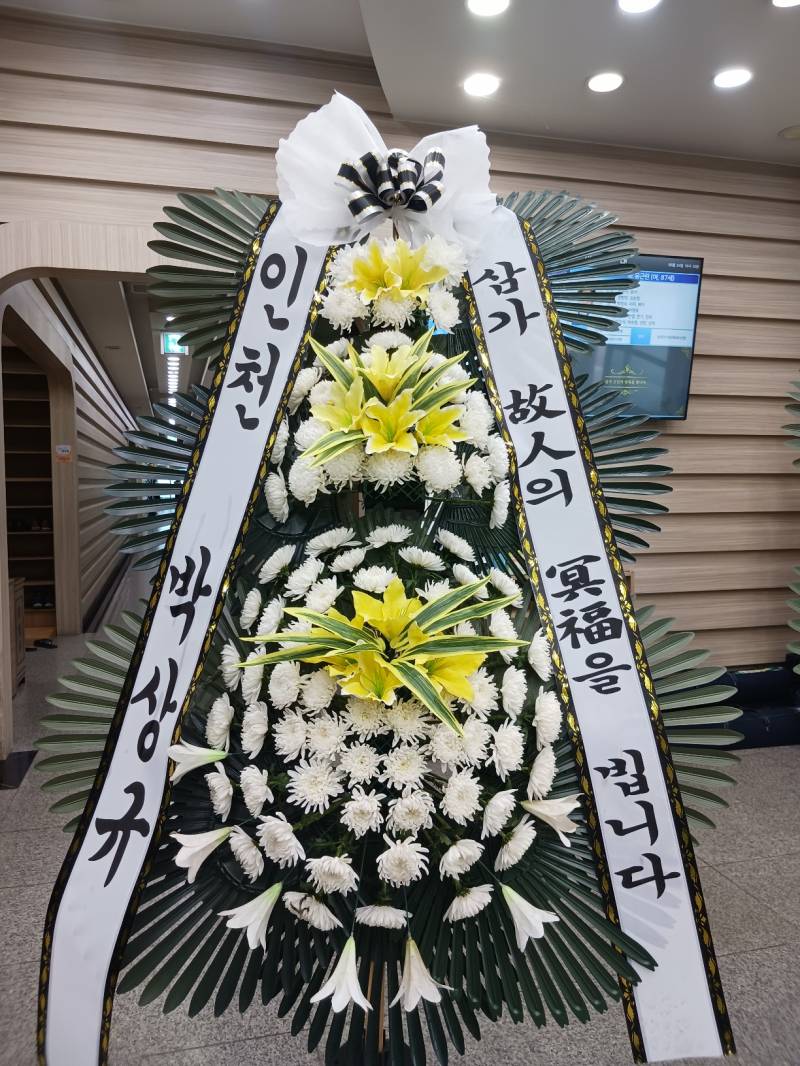 업로드 이미지