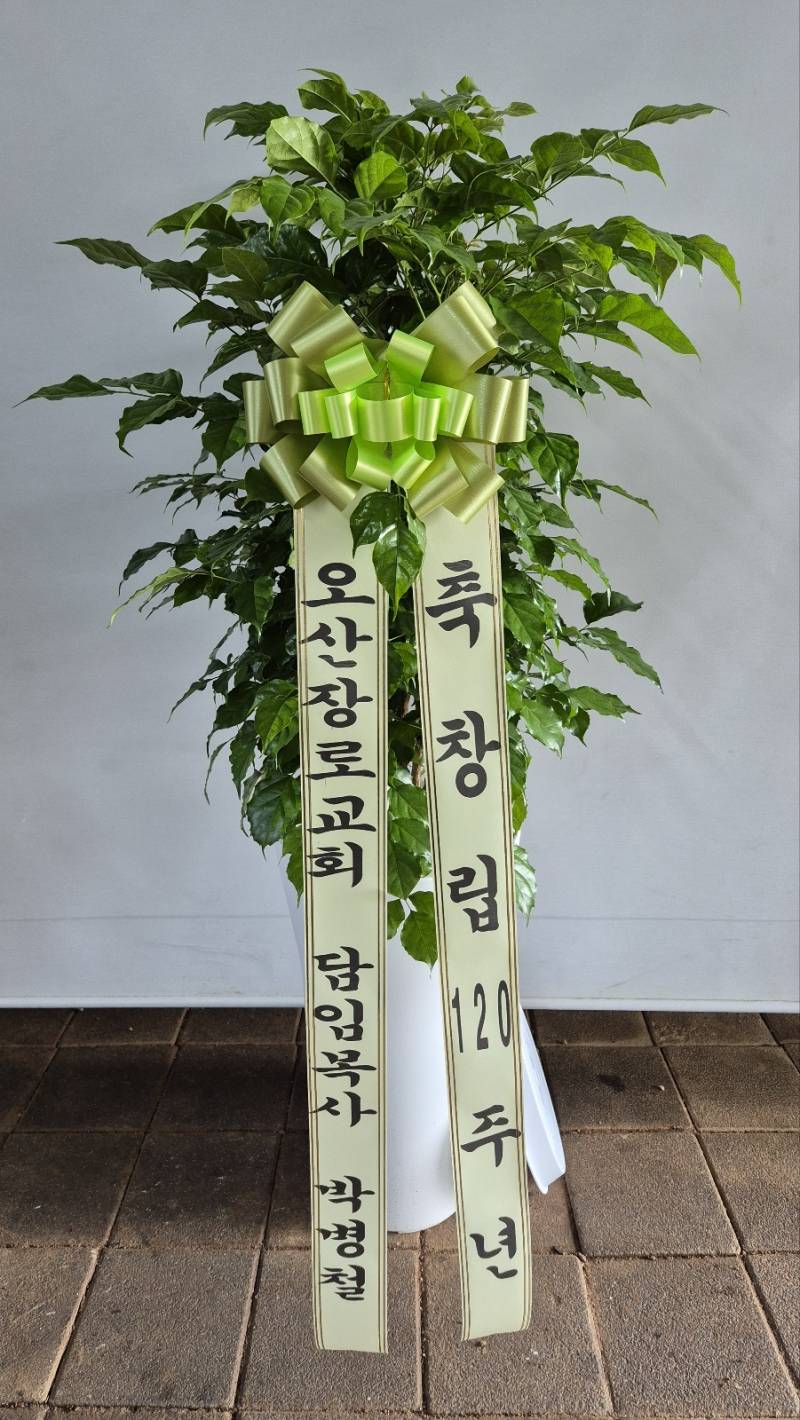 업로드 이미지