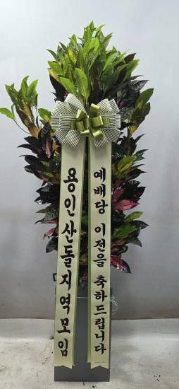 업로드 이미지