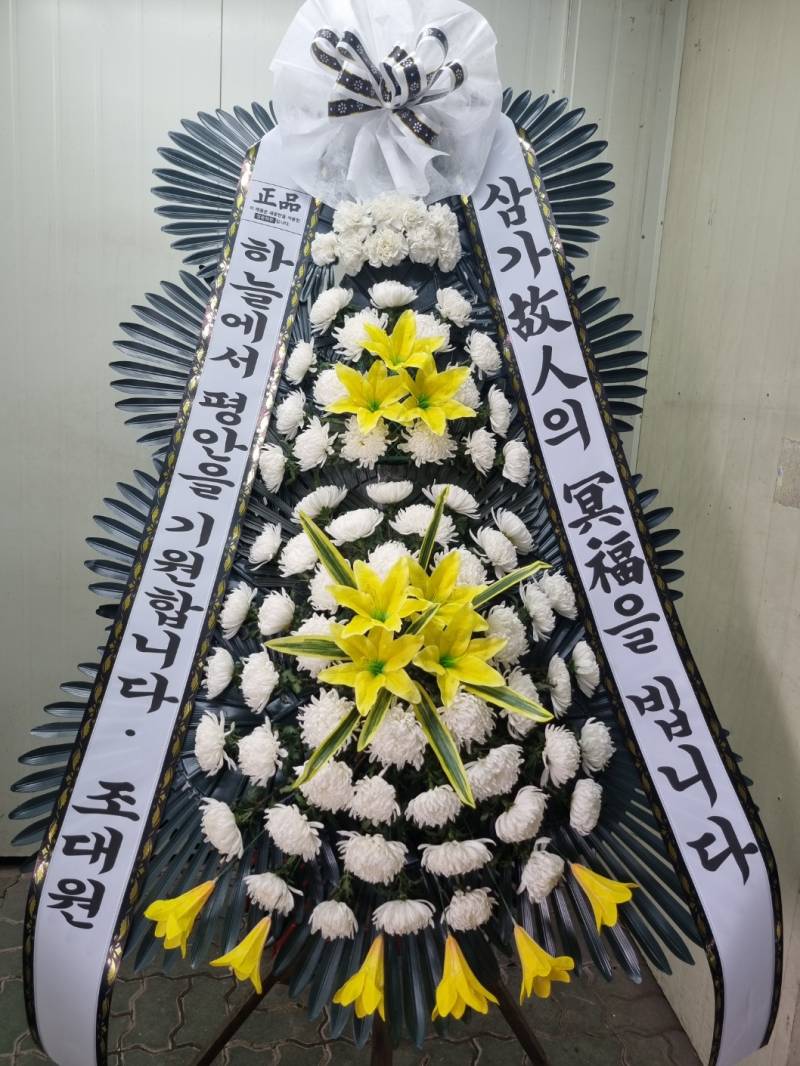 업로드 이미지