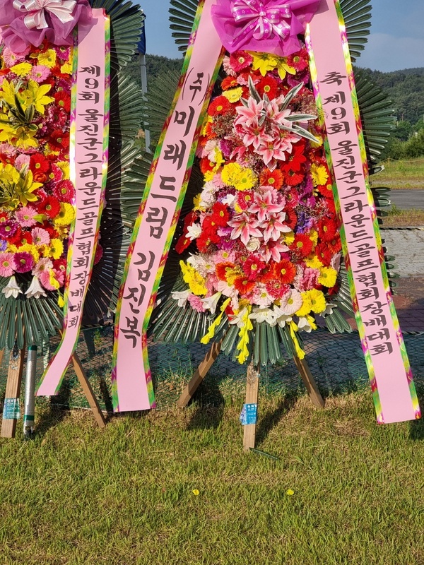 업로드 이미지