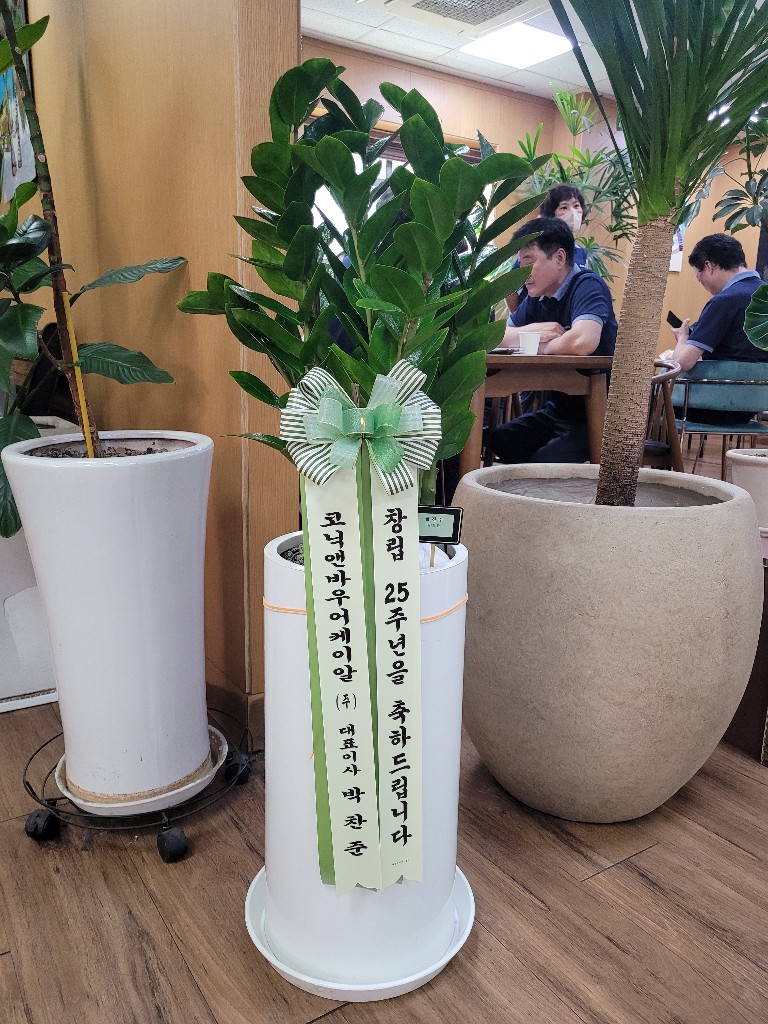 업로드 이미지
