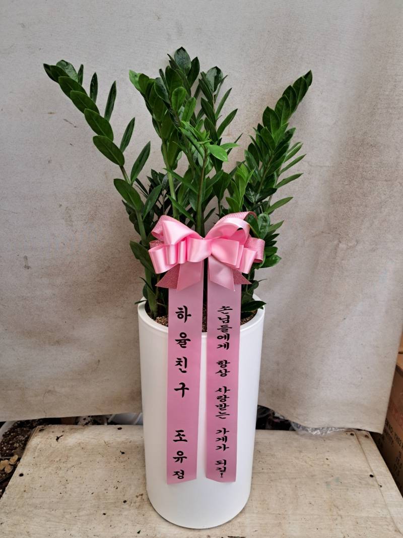 업로드 이미지