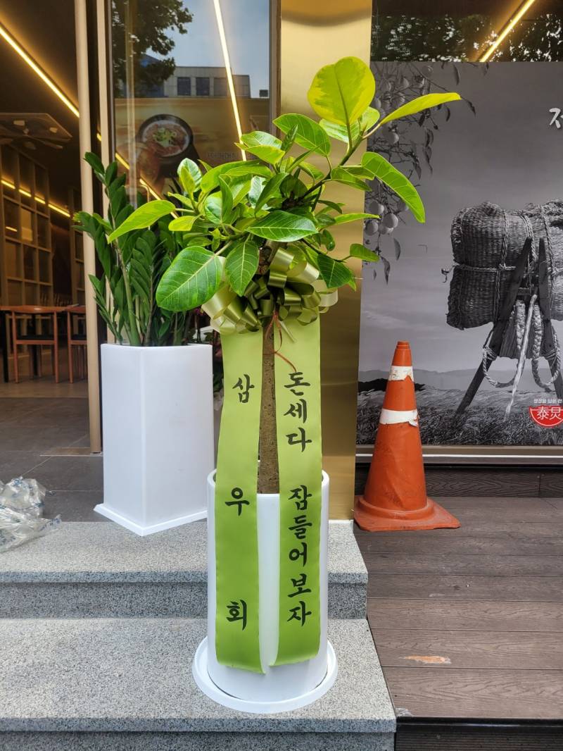업로드 이미지