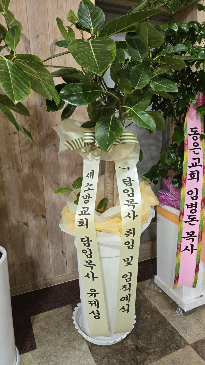 업로드 이미지