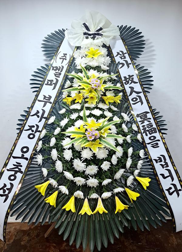업로드 이미지