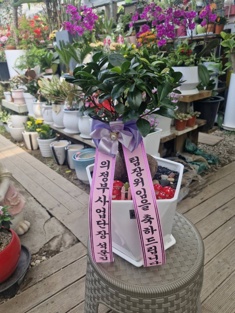 업로드 이미지