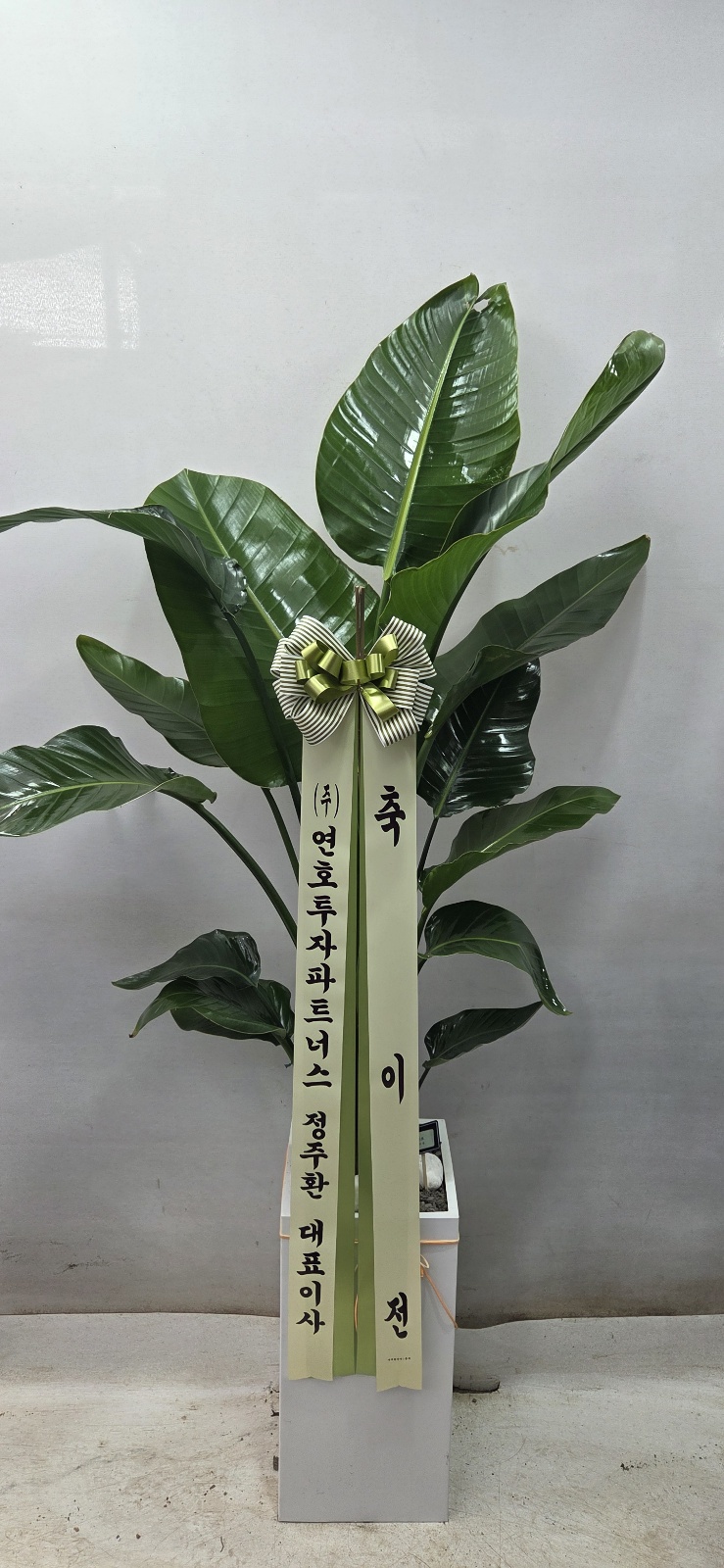 업로드 이미지