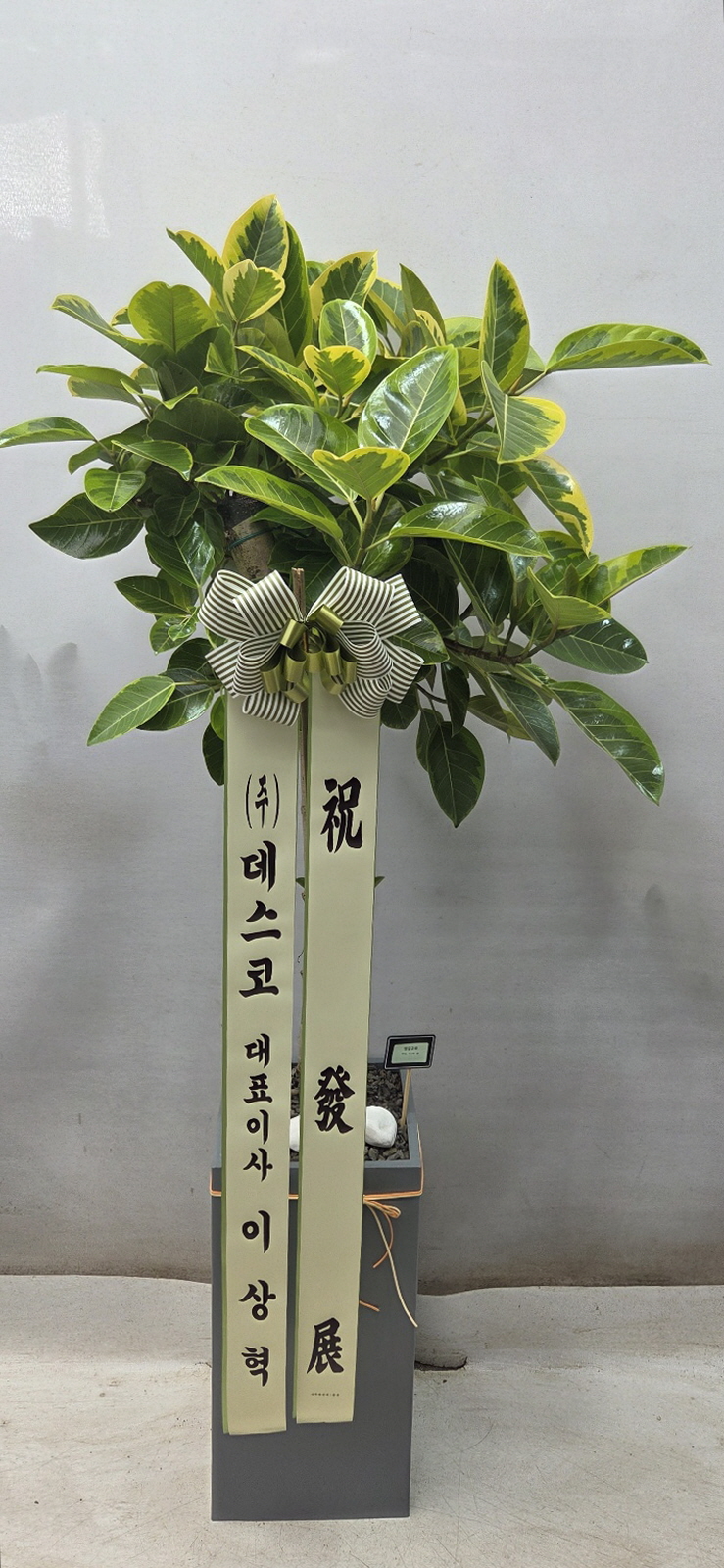 업로드 이미지
