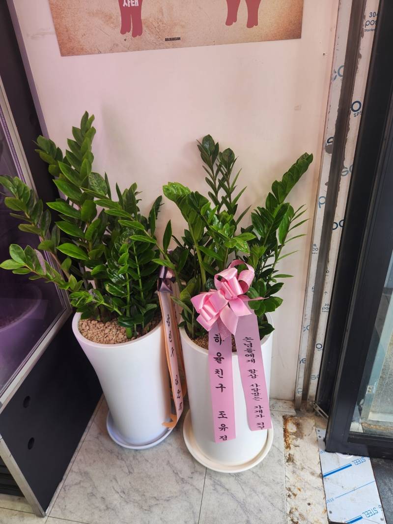 업로드 이미지