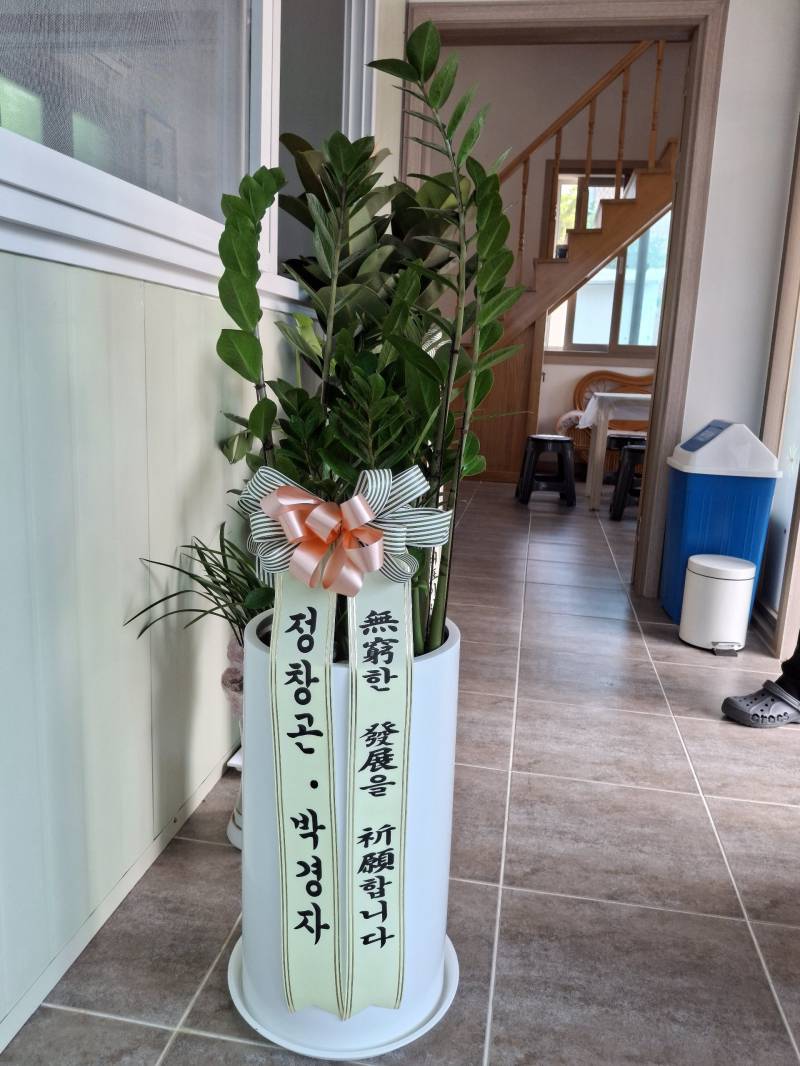 업로드 이미지