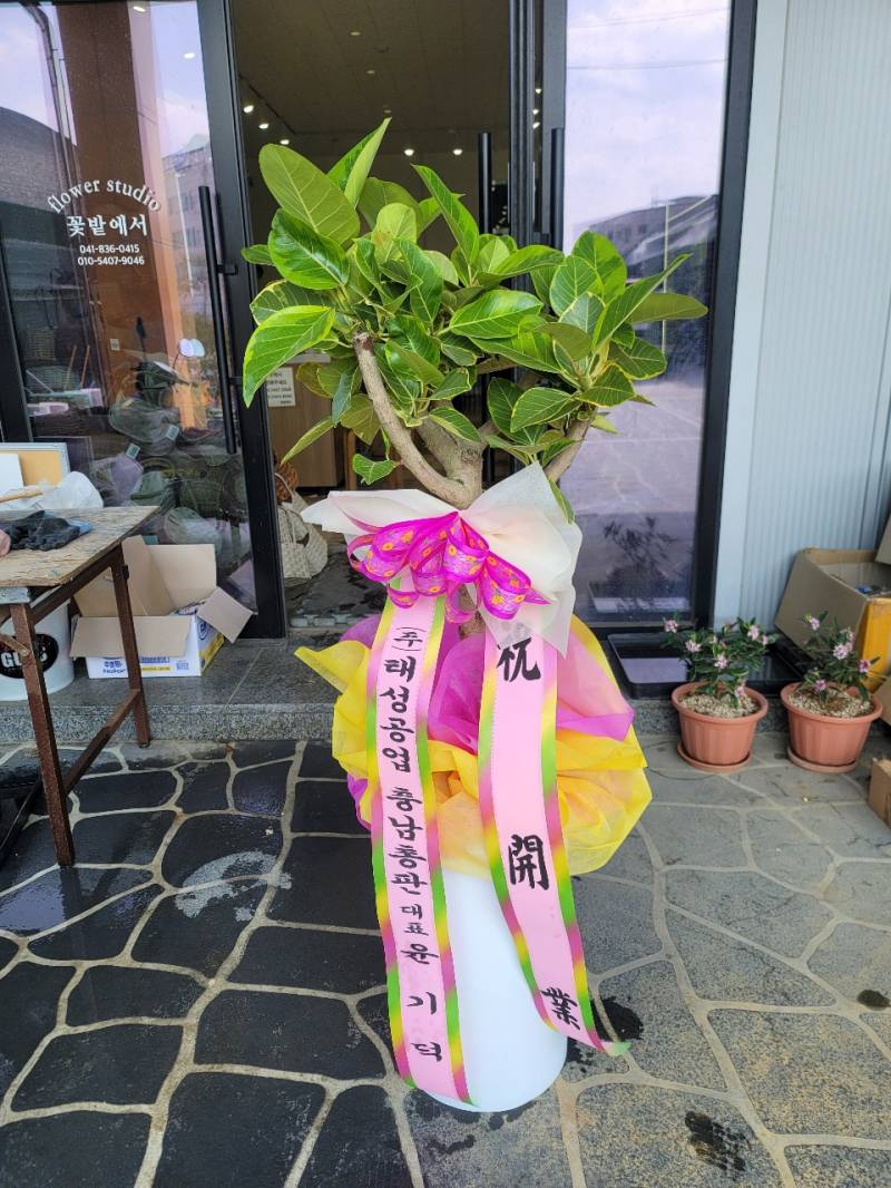 업로드 이미지