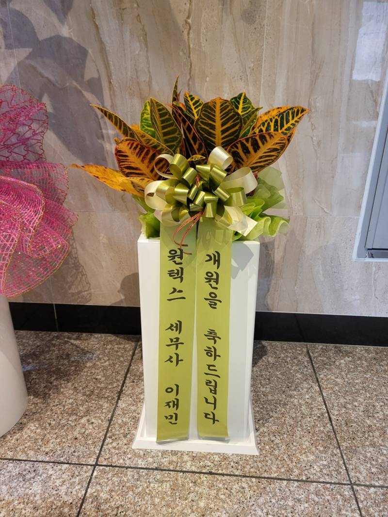 업로드 이미지