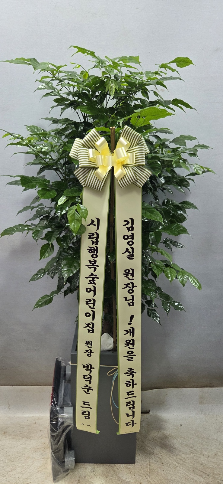 업로드 이미지