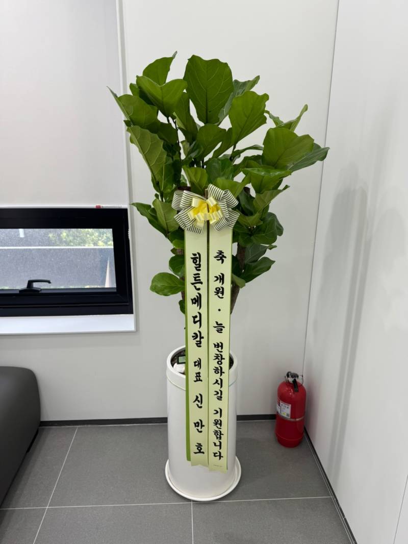 업로드 이미지