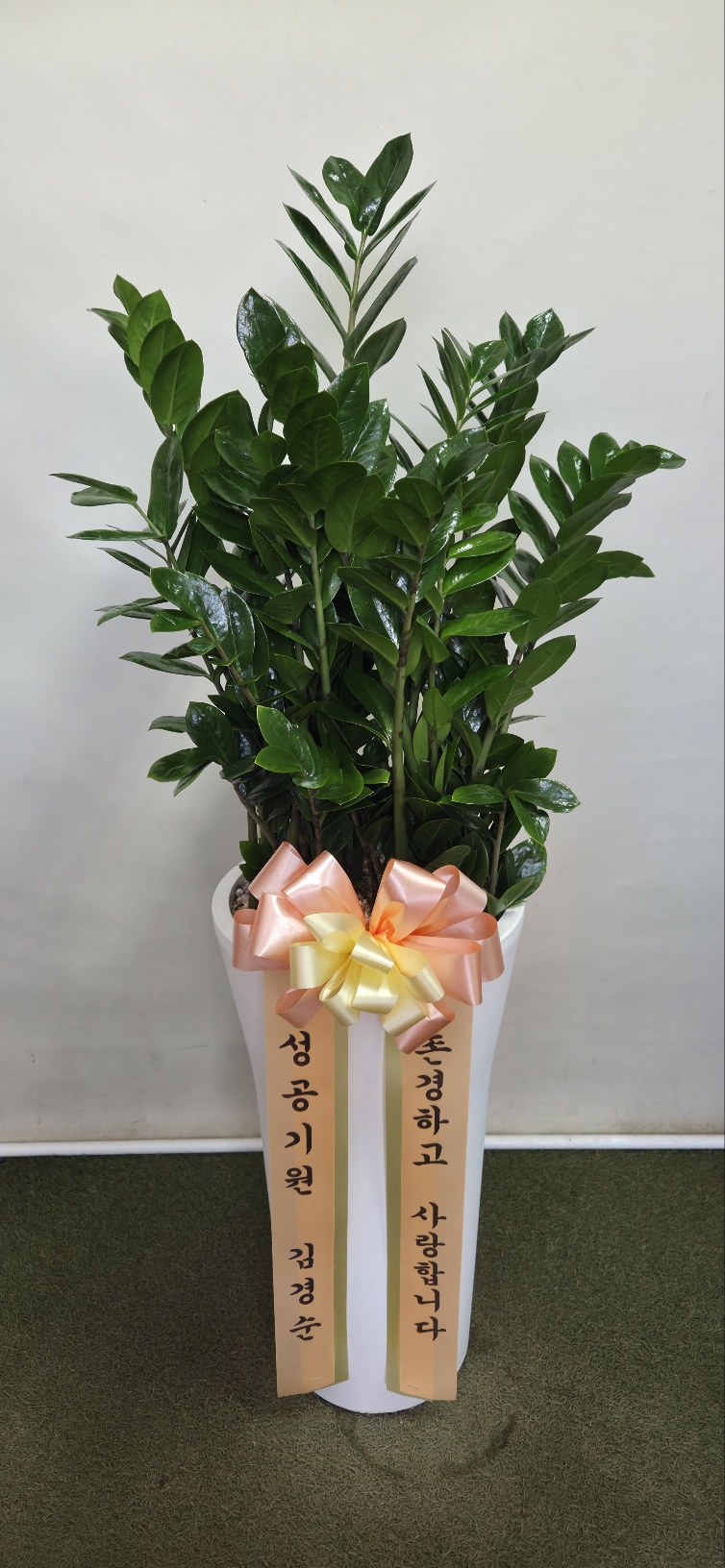 업로드 이미지