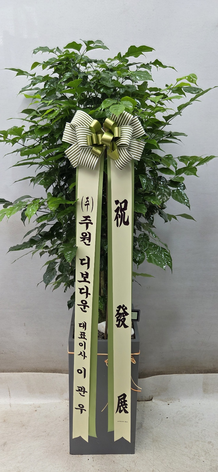 업로드 이미지