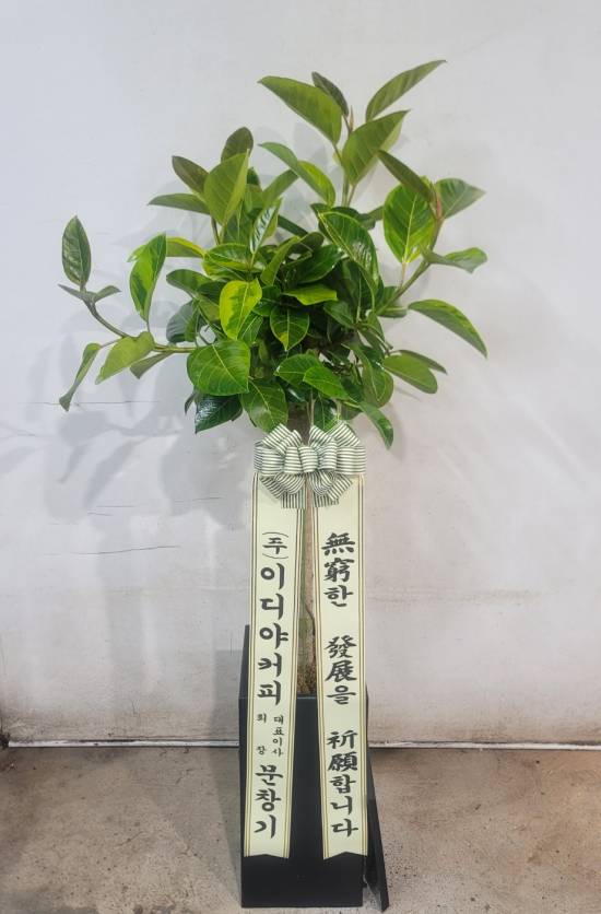 업로드 이미지