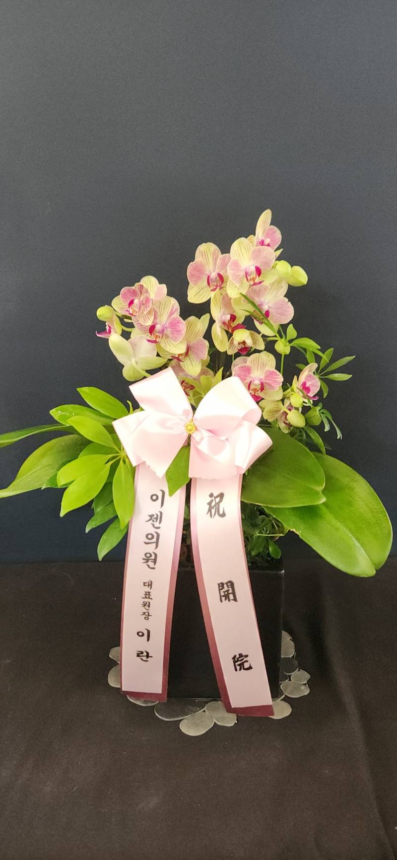 업로드 이미지