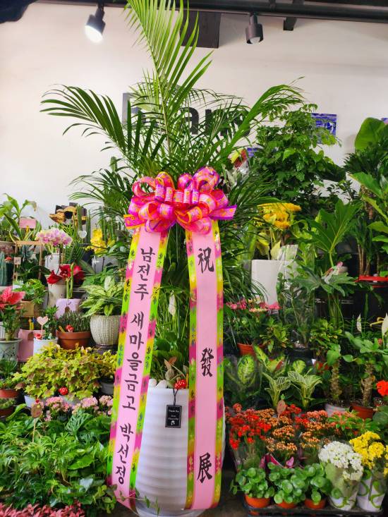 업로드 이미지