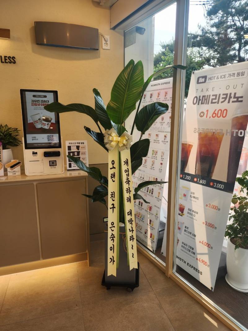 업로드 이미지