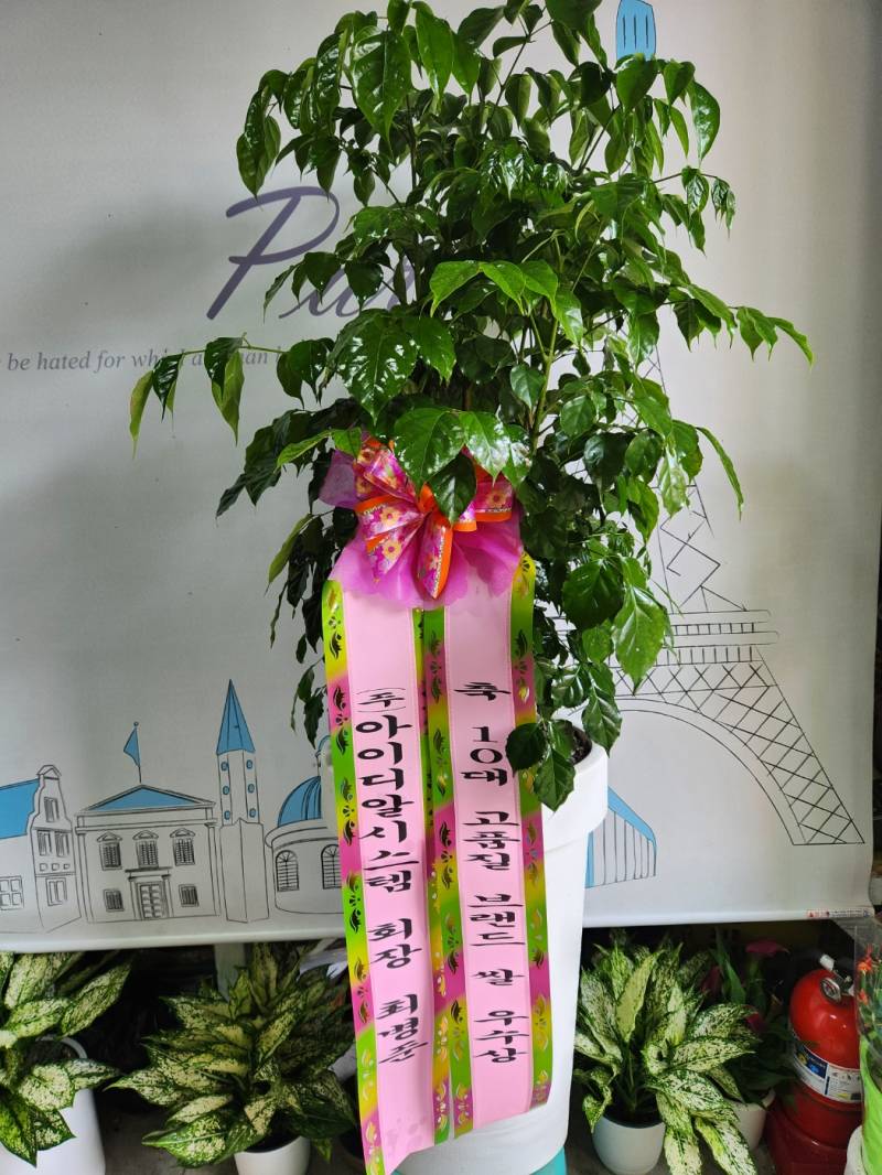 업로드 이미지