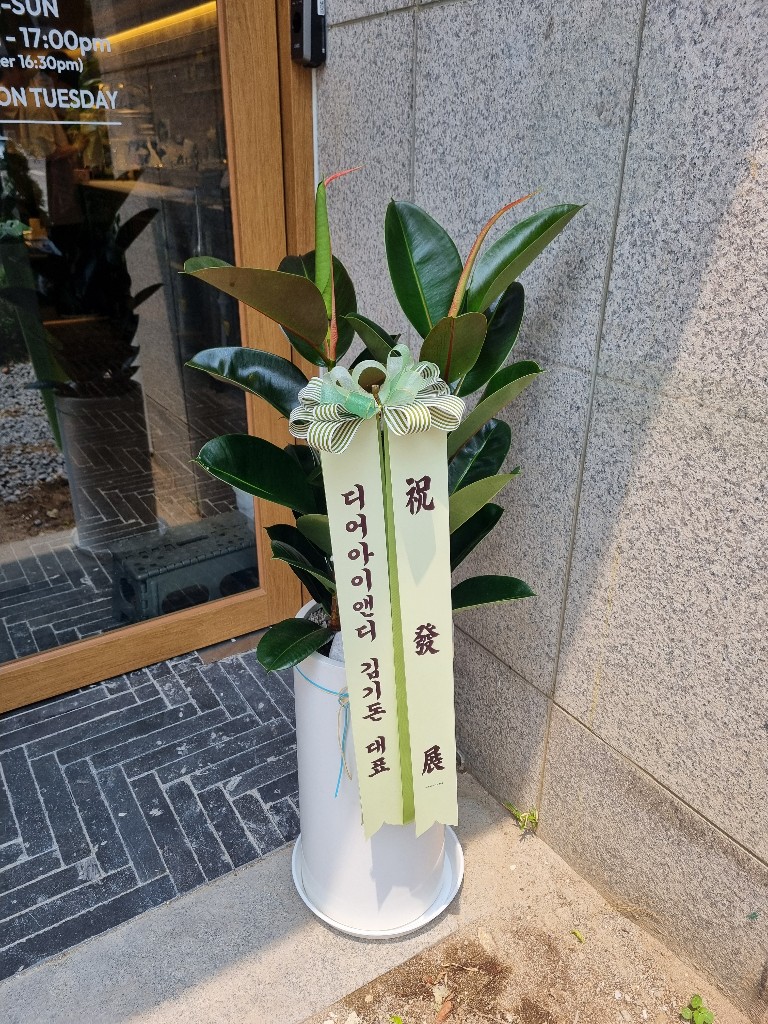 업로드 이미지