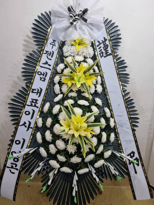 업로드 이미지