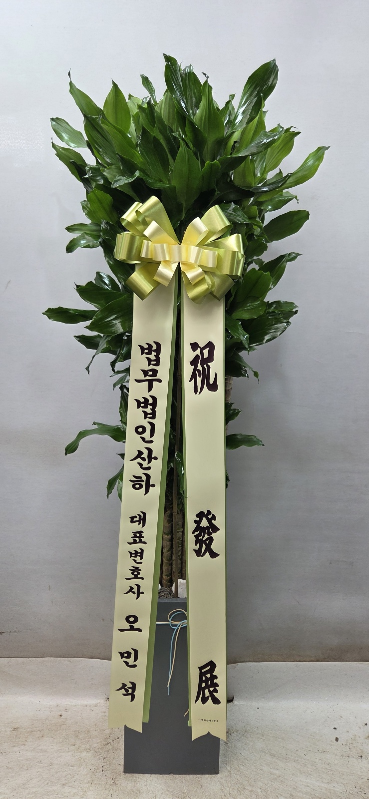 업로드 이미지